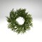 24" Norfolk Pine Wreath | Artificial Greenery Wreath for Holiday & Everyday Decor-XX9414